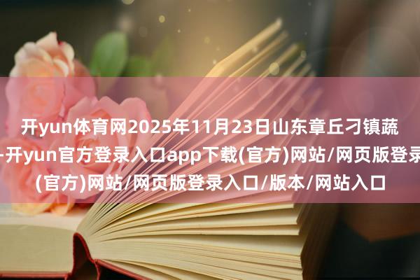 开yun体育网2025年11月23日山东章丘刁镇蔬菜批发商场价钱行情-开yun官方登录入口app下载(官方)网站/网页版登录入口/版本/网站入口